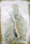 image/_old_tree.jpg, 6.7K